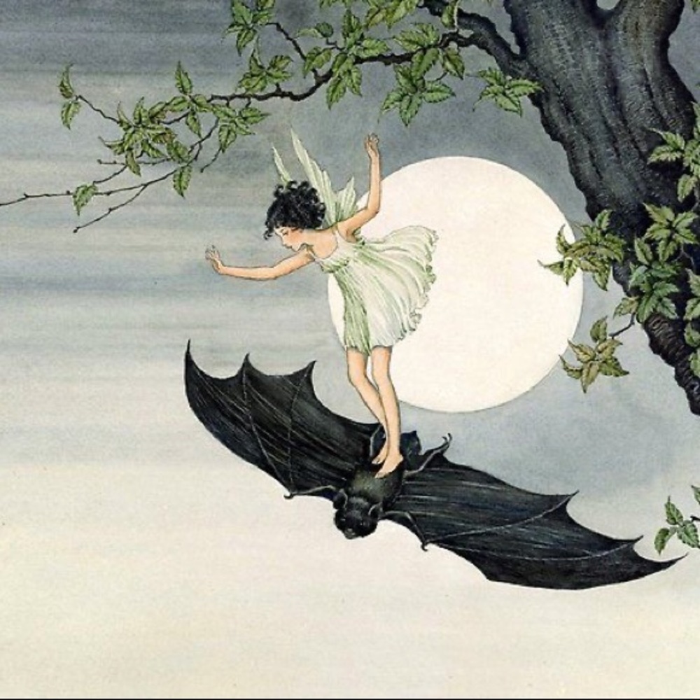 Meet your Posher, Char